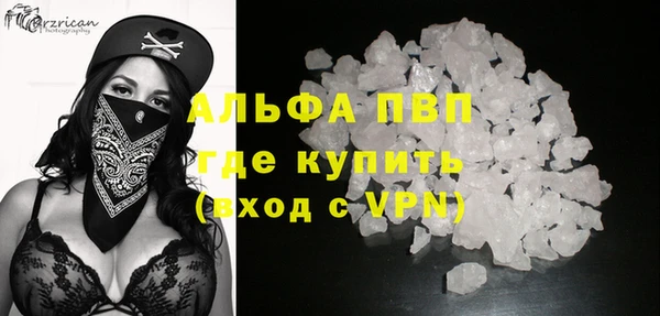 шишки Корсаков