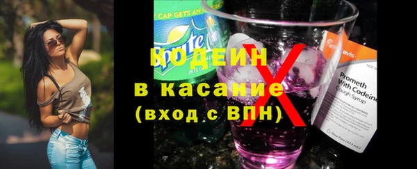 шишки Корсаков