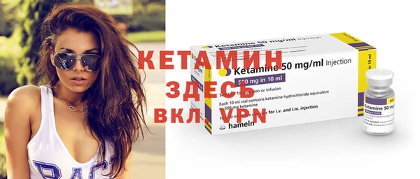 шишки Корсаков
