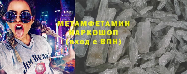 шишки Корсаков