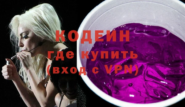 шишки Корсаков