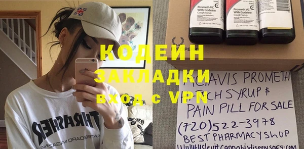 шишки Корсаков