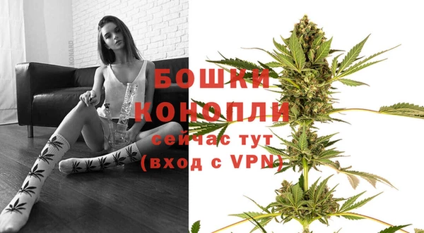шишки Корсаков