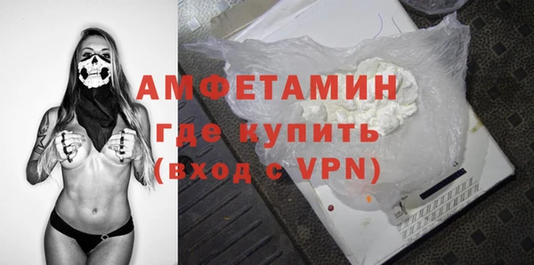 шишки Корсаков