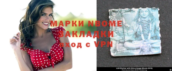 шишки Корсаков